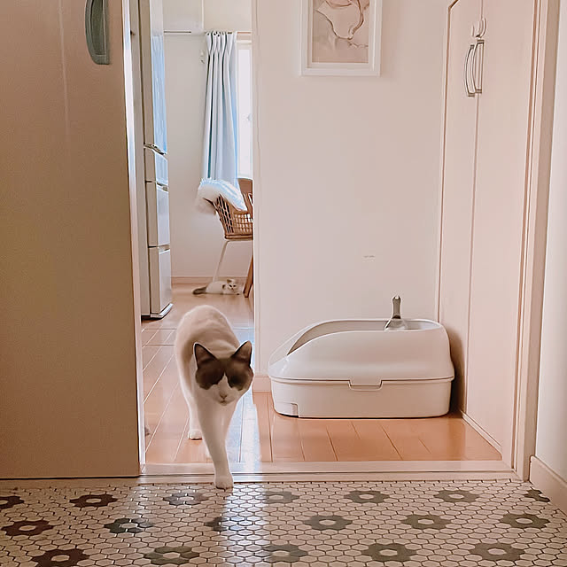milkcocoaさんの実例写真