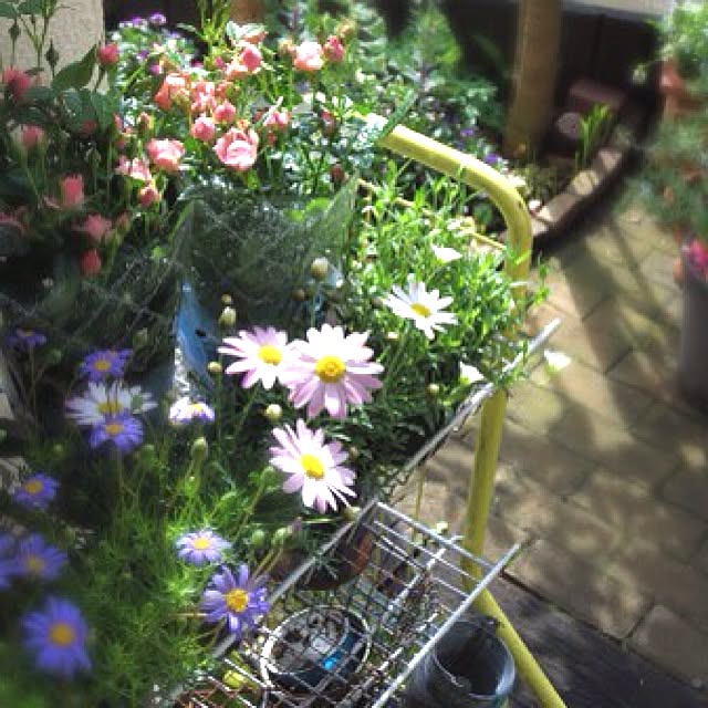 mooさんの実例写真