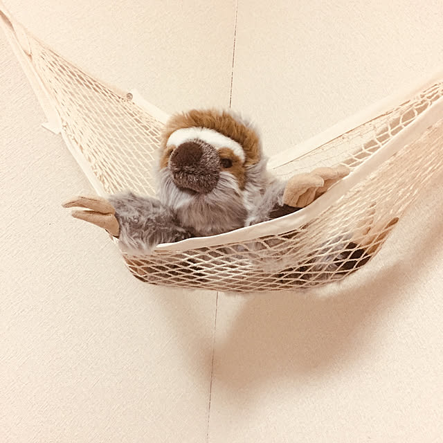 sasacchiさんの実例写真