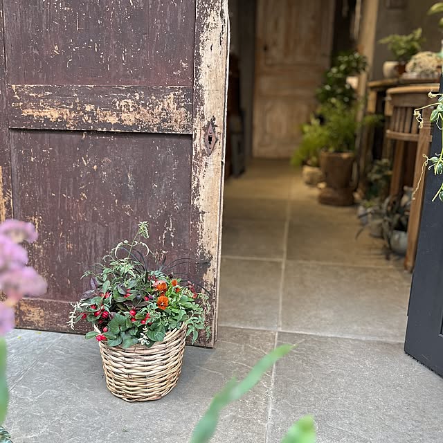 Royal_Gardeners_Clubさんの実例写真