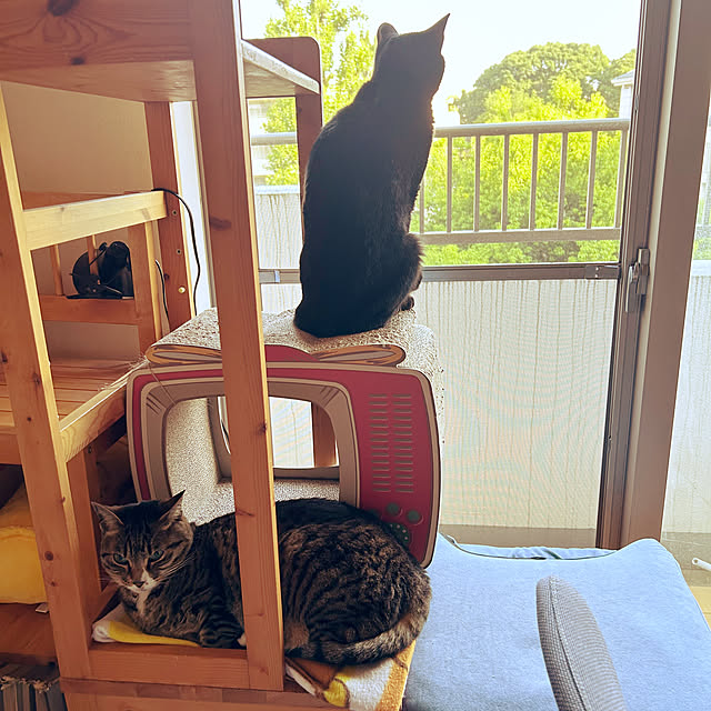 suemonta14さんの実例写真