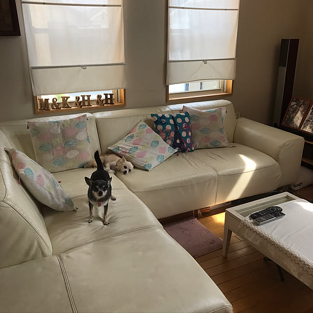 Leecoさんの実例写真