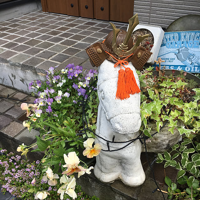 mayさんの実例写真