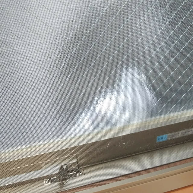 Manamiさんの実例写真