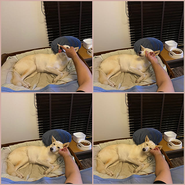 tanboさんの実例写真