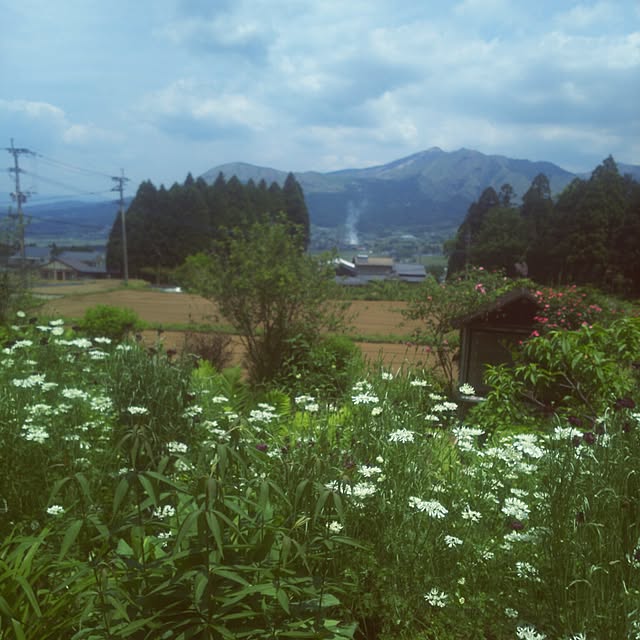 rumi888さんの実例写真