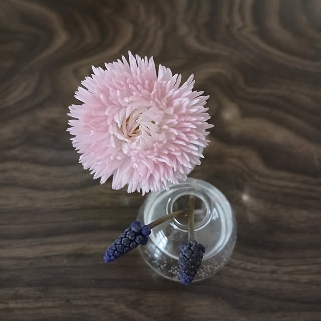 chidorinさんの部屋