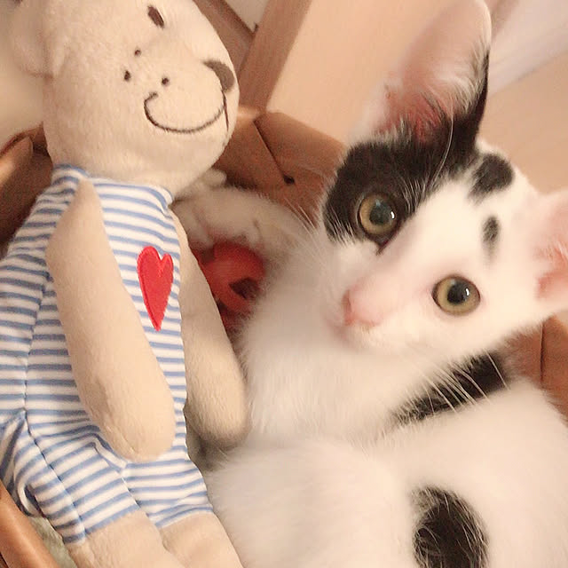 chikoさんの実例写真
