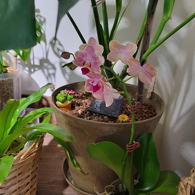 akiak.3さんの部屋