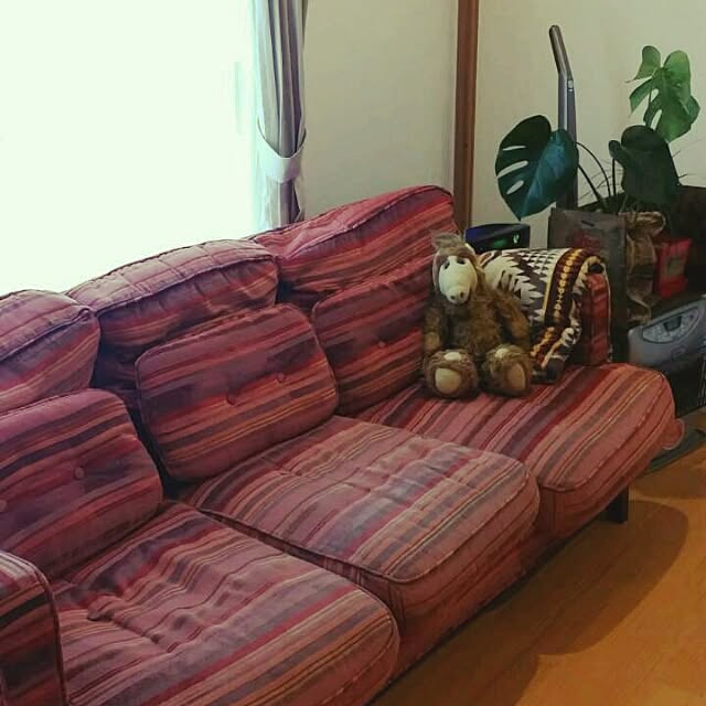 ALFさんの実例写真