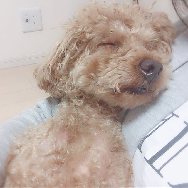 mkyさんの実例写真