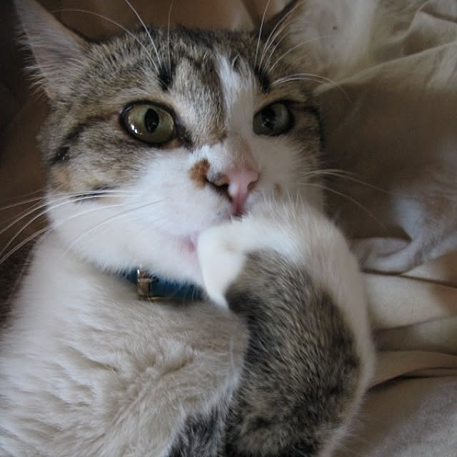 mobiri57さんの実例写真