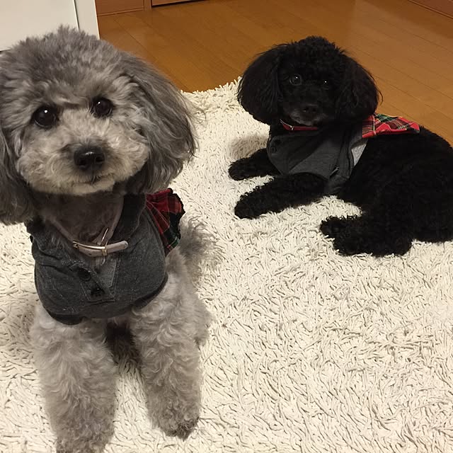 mom39さんの実例写真