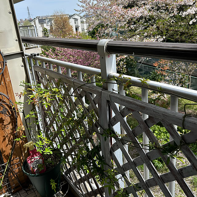 shabby666さんの部屋