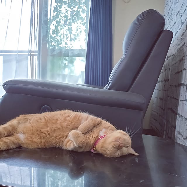 NOAHさんの部屋