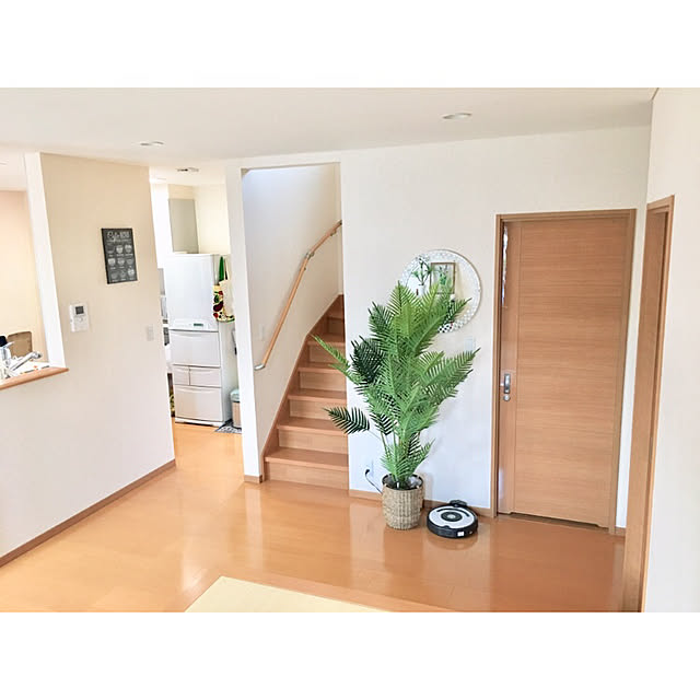ニトリ/観葉植物/部屋全体のインテリア実例 - 2019-08-17 17:46:15