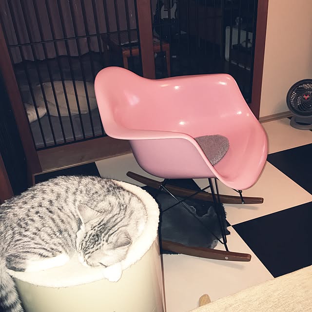 Shojiさんの実例写真