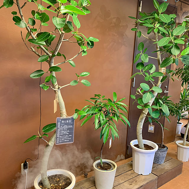 mogさんの部屋
