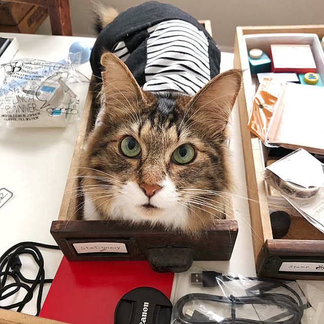 yuchiさんの実例写真