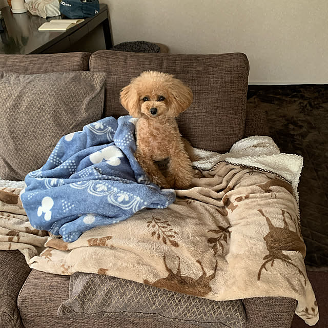 ROSEさんの実例写真