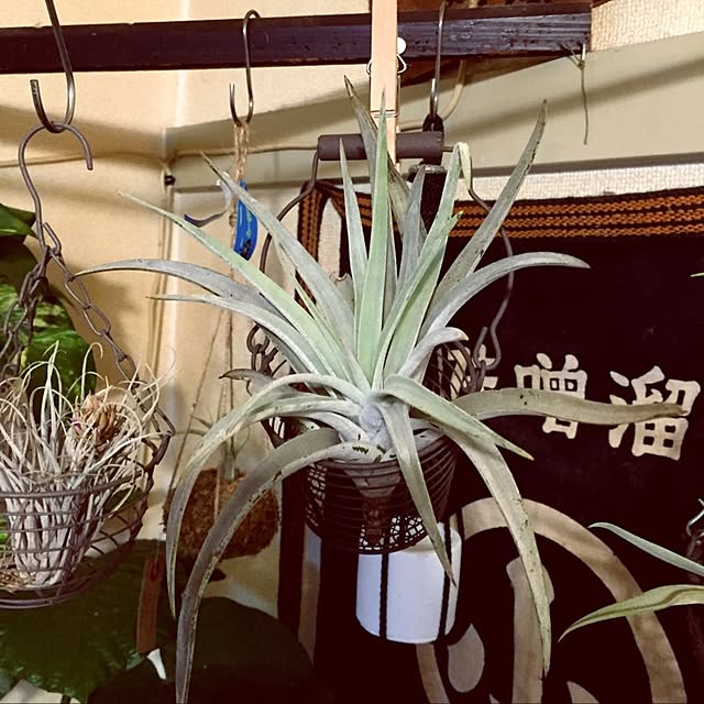 1623さんの実例写真