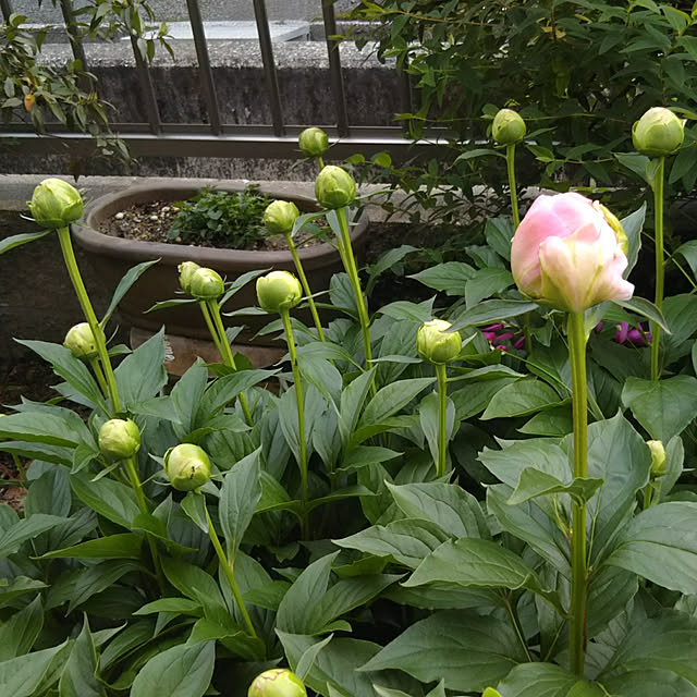 chikohiroさんの実例写真