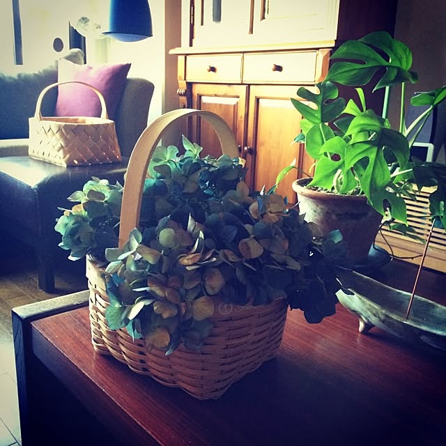 masamixさんの実例写真