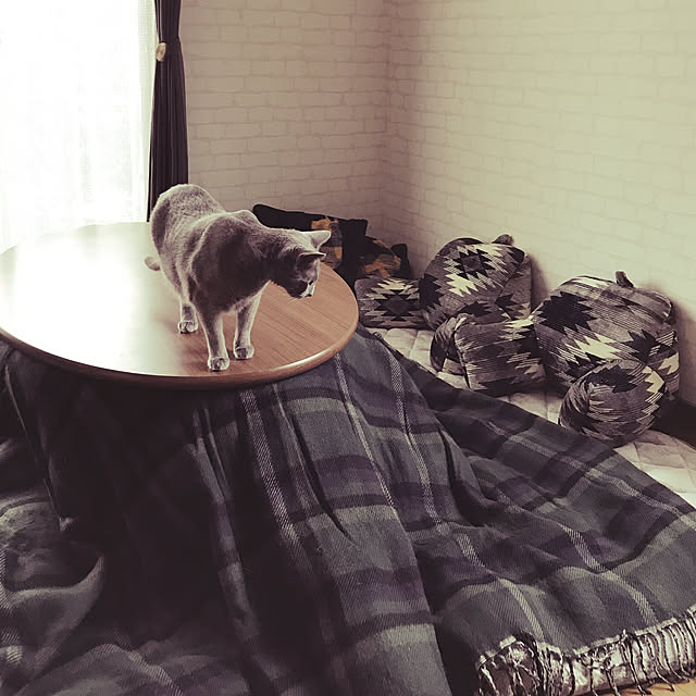yumi.snoopさんの実例写真