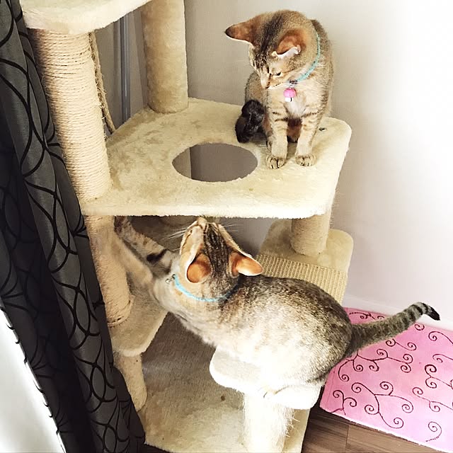 1633さんの実例写真