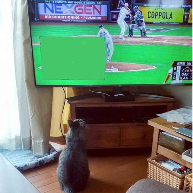komgi12さんの実例写真