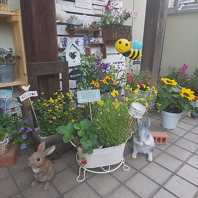 seiko44さんの実例写真