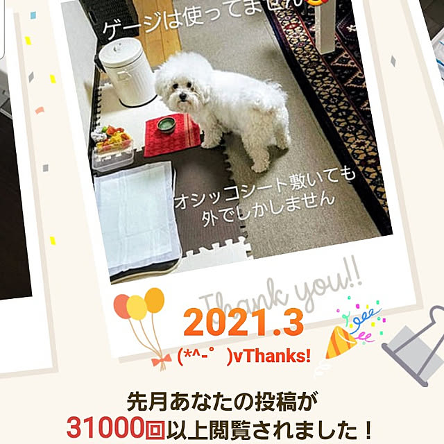 takoさんの実例写真