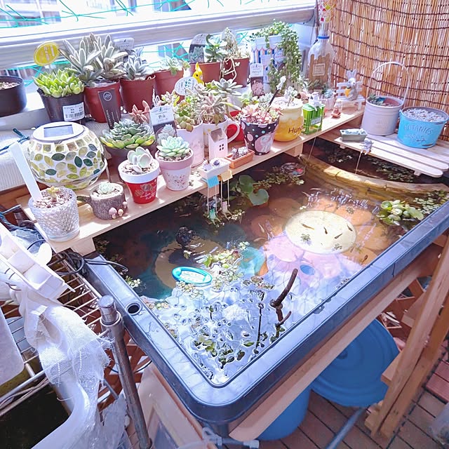 mariaさんの部屋