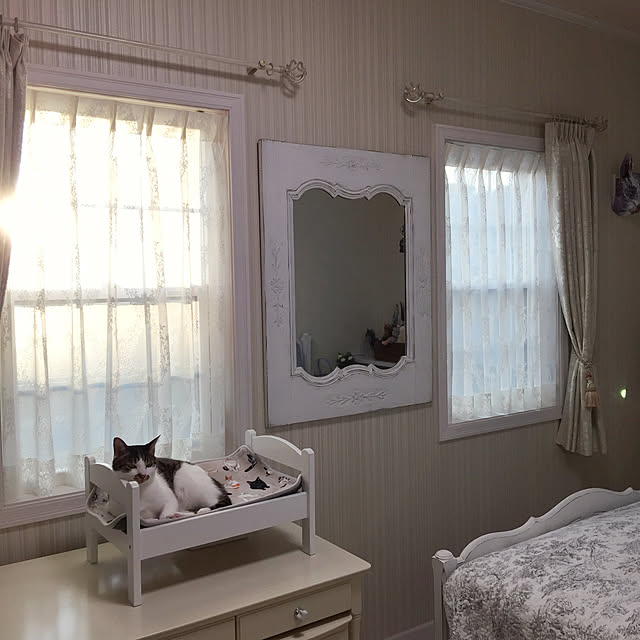 yuchiさんの実例写真