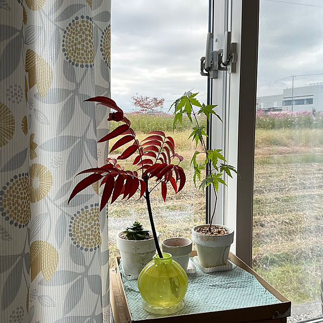 chiiyanさんの実例写真