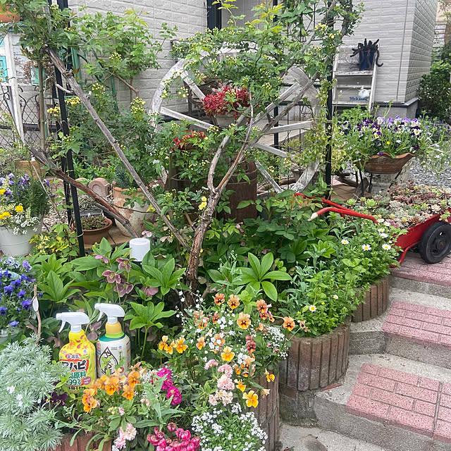 na-chanさんの部屋