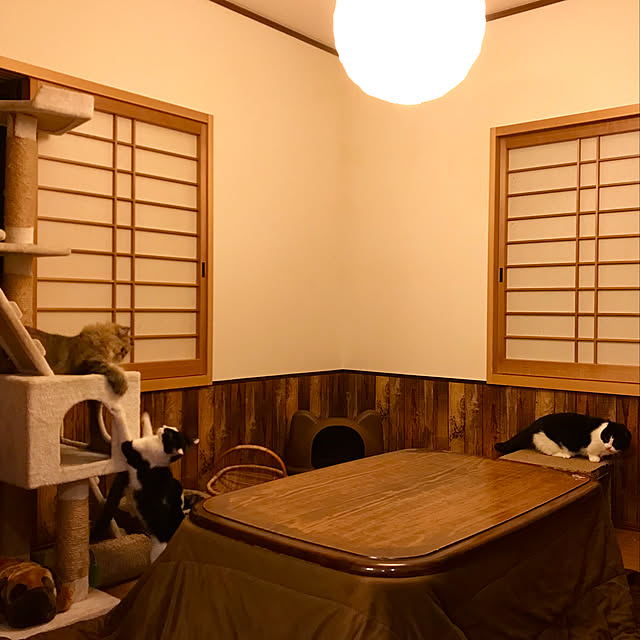 butachanさんの実例写真