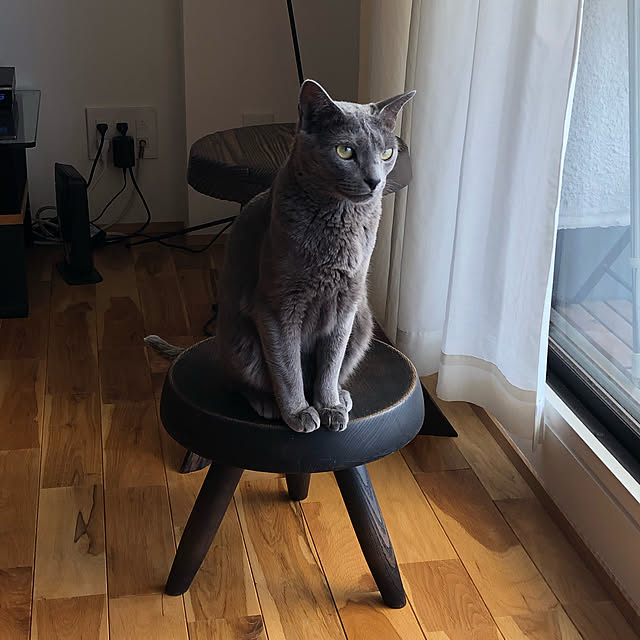 tomokoさんの実例写真