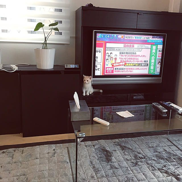 H.Tさんの実例写真