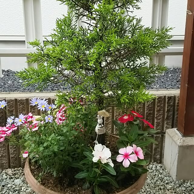 oliveさんの実例写真