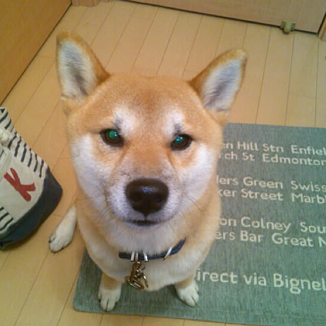 kotaさんの実例写真