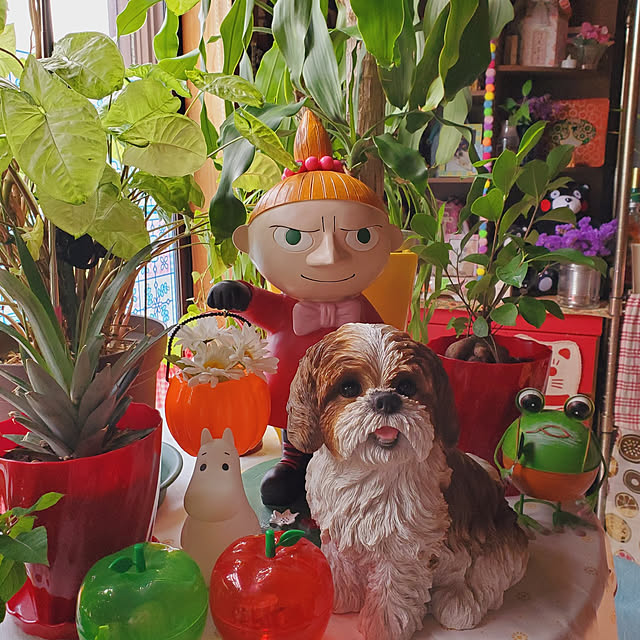 kumutanさんの実例写真