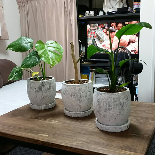 goriさんの実例写真