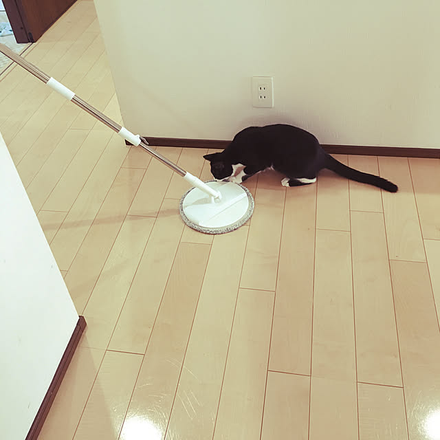 nekoさんの実例写真