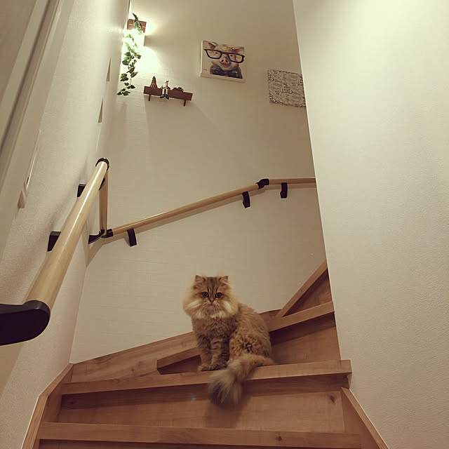 Hiromiさんの実例写真