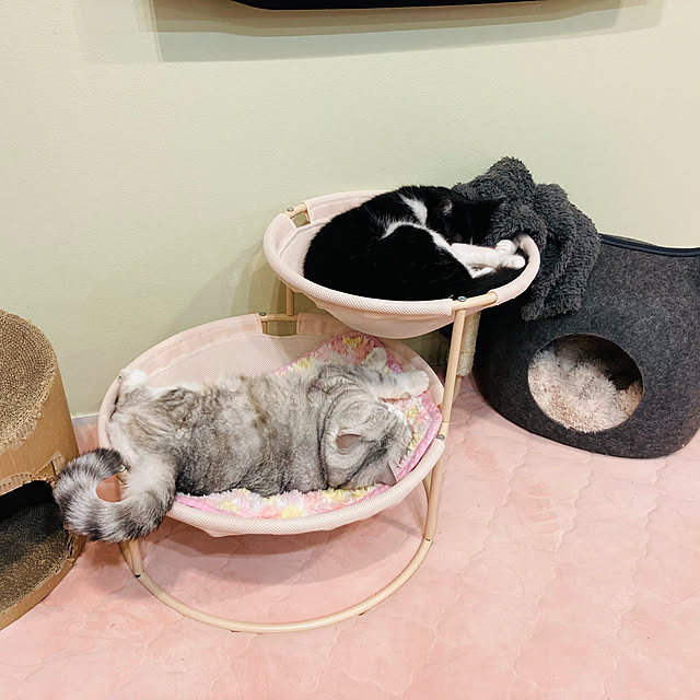 sakura_171220さんの実例写真