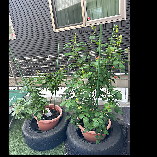 Hさんの部屋
