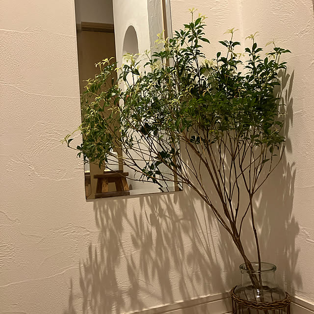 wahahaさんの実例写真