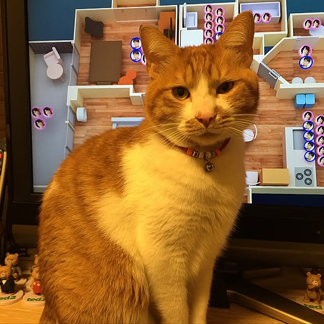 nyanyakoさんの実例写真