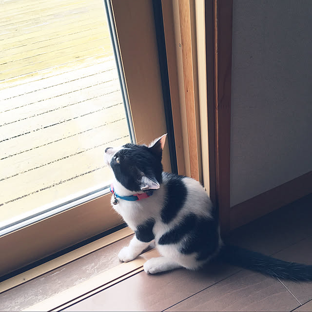 ohachさんの実例写真
